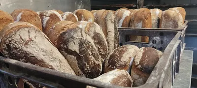 Piekarnia Cukiernia Przemysław Wojciechowski